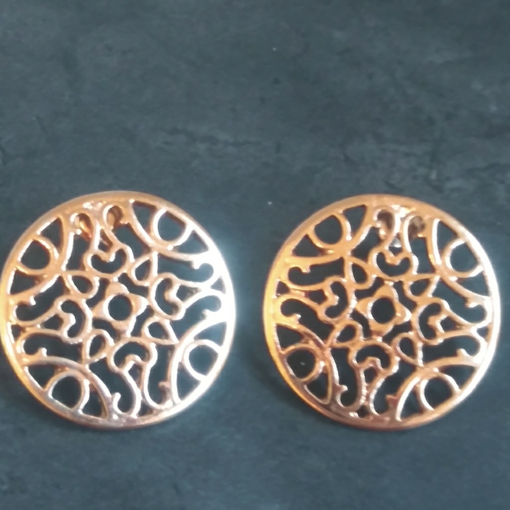 Beautiful Anthropology Earings. Great buy.